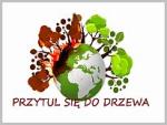 Przytul sie do drzewa